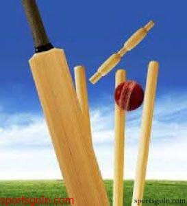 ক্রিকেট খেলার উইকেট । ক্রিকেট খেলার ৮ নম্বর আইন । খেলাধুলার আইন