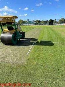 ক্রিকেটের রোলিং, সুইপিং ও মোয়িং পীচে পানি দেয়া এবং ক্রীজে পুনরায় দাগ দেয়া । ক্রিকেট খেলার দশ নম্বর আইন । খেলাধুলার আইন