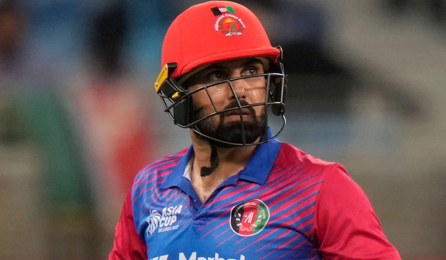 1 16 মোহাম্মদ নবি ফিরছেন আফগানিস্তান দলে