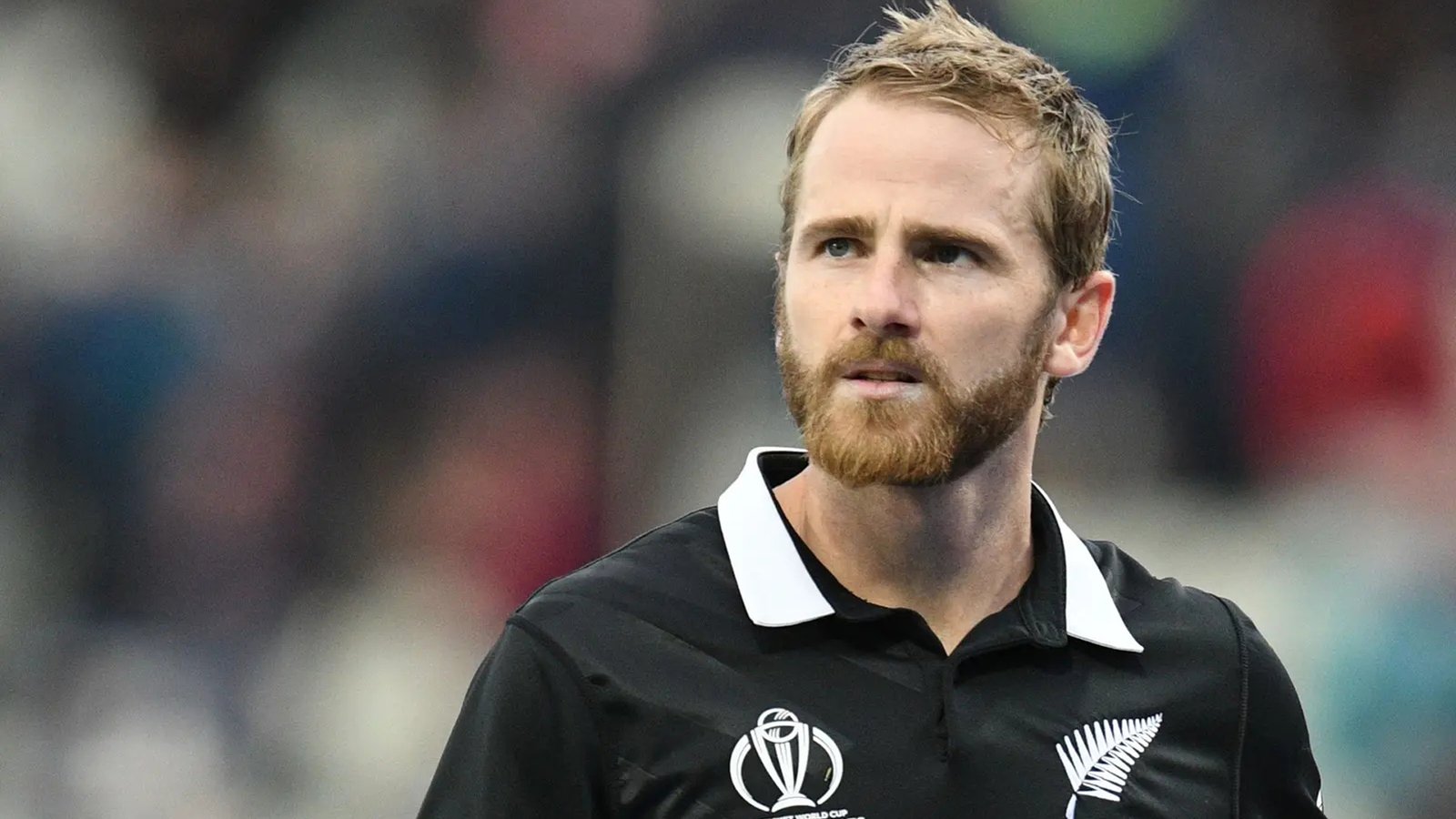 বিশ্বকাপে নিউজিল্যান্ড দলে থাকবেন উইলিয়ামসন