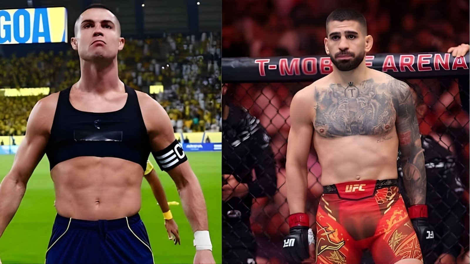 মিক্সড মার্শাল আর্টে নতুন যাত্রা রোনালদোর? 1 মিক্সড মার্শাল আর্টে নতুন যাত্রা রোনালদোর