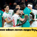 আফকন ফাইনালে সেনেগাল মরক্কোর বিশৃঙ্খলা আফকন ফাইনালে সেনেগাল-মরক্কোর বিশৃঙ্খলা