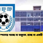 সুদিনেও স্পনসর না পেয়ে বাতিল হলো বাফুফের সুপার কাপ 2 সুদিনেও স্পনসর পাচ্ছে না বাফুফে, হচ্ছে না একটি টুর্নামেন্ট