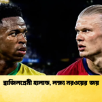 ব্রাজিলপ্রেমী হালান্ড লক্ষ্য নরওয়ের জয় 1 ব্রাজিলপ্রেমী হালান্ড, লক্ষ্য নরওয়ের জয়